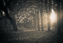 On leaving the solar fall / ***