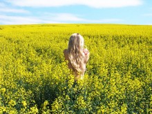 Mermaid Field / no comment