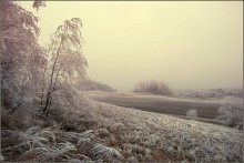 Gentle frosty morning / *******