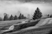 Frosty morning in October / ***