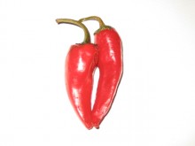 chili pepper / ...........