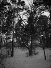 Without cabin / ***