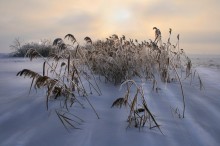 Fog and sun / ***