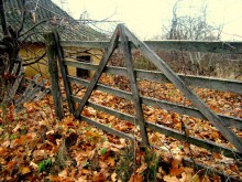 Autumn / ***