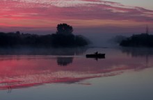 pink dawn / *******