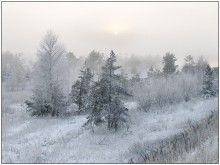 Frosty Morning. / * * *