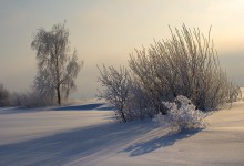 Winter pastoral / ***