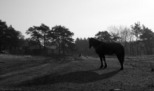 melancholy / .........