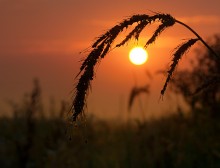 At dawn / ......