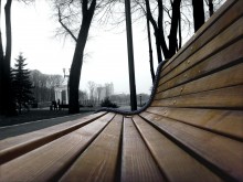 Life in the park / ***