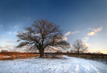 Winter on Vilija / ***