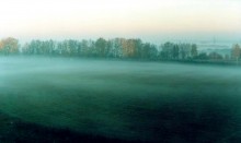 Fog / ***