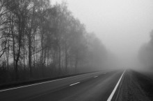 autumn. fog. road / ***