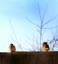 I do not talking to you !!!))) / ***