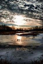 Frozen Landscape / ***