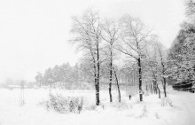ease of winter / ***