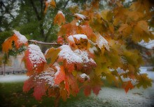 First snow / ********