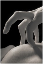 Dissent .... / ******