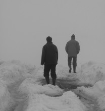 Winter leaves ... / ......