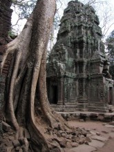 The death of Ta Prohm / ***