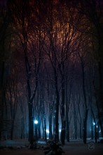 Winter Light / ***