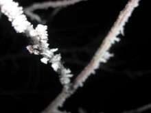 Winter Evening / .....
