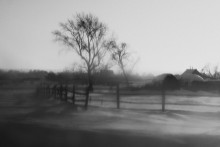 Untitled / ***