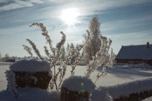 frost and sun ... / *****