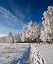 winter time / zajca nevidali ???