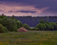 RECALLING SUMMER / *****