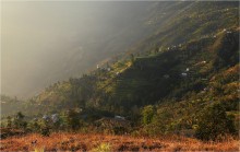 Rice terraces / ***