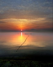 Pathway to the sun / ***