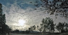 The winter sun shines relentlessly / ***