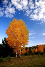 Eyes, charm ... / ***