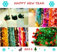 Happy 2011 Year! / ***