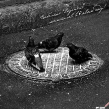 PF-2011: Wishes Photographer / ***