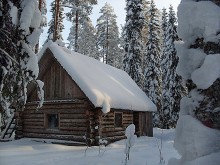 In the forest on the edge of the winter living in a hut ... / ***