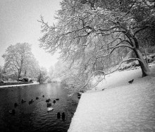 For a gift for your favorite ... / ***