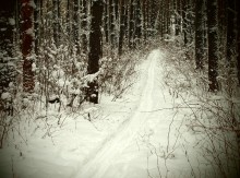 Winter trail / ***