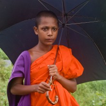 A young monk with a blackthorn twig / ***