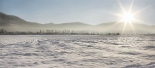 snow-covered field in Kazakhstan / ________