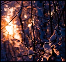Winter abstract / ***