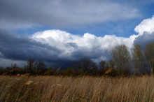 Before the rain. / ***