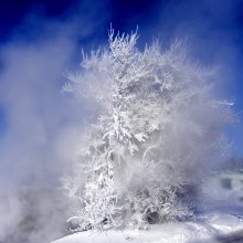 frost snow wrapped up ... / ***