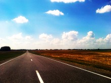Summer road / ***