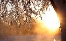 Frost and sun ... / ***