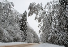 Winter road / *****