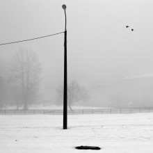 Fog / 10.01.2010