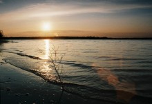 Based on &quot;The Wave&quot; / ***