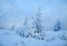 Planet of the &quot;Cold&quot; / *******